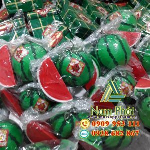 mô hình Tết giá rẻ Nam Phát