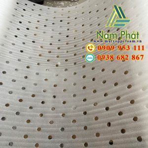 Tấm foam đục lỗ