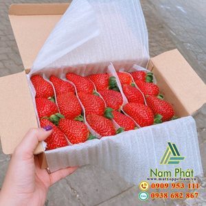 thùng carton giá rẻ